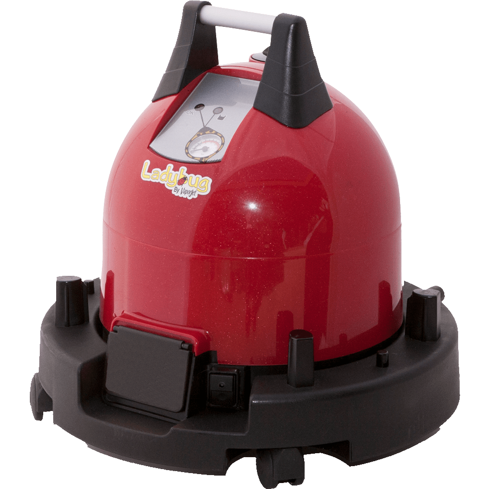 Steam Cleaner Buying Guide Sylvane